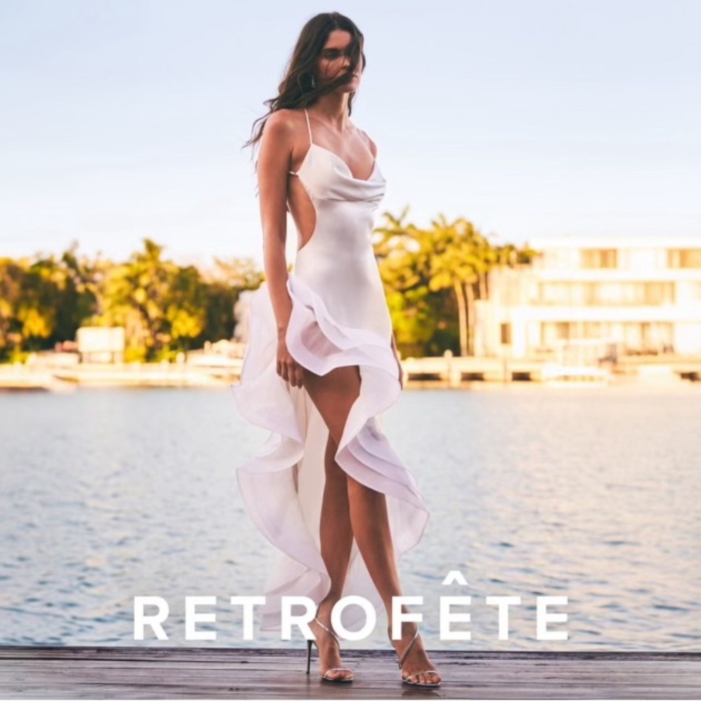 Retrofete Kailtin Dress NWT